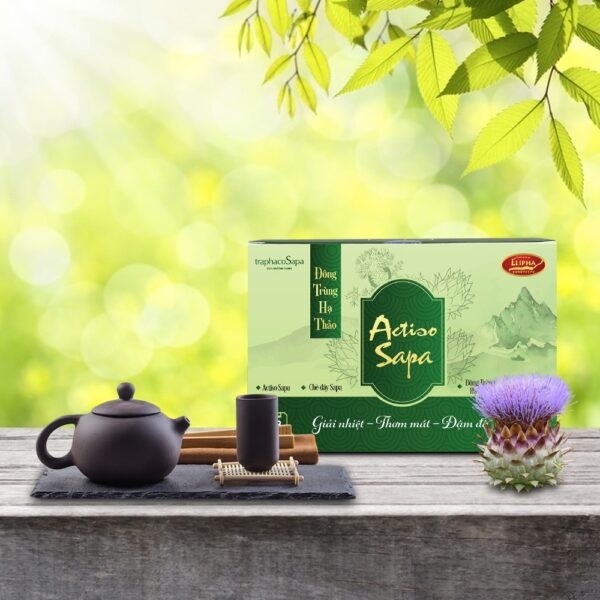 Trà đông trùng hạ thảo actiso